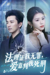 法理证我无罪，爱意判我死刑海报