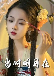 明月照南星海报