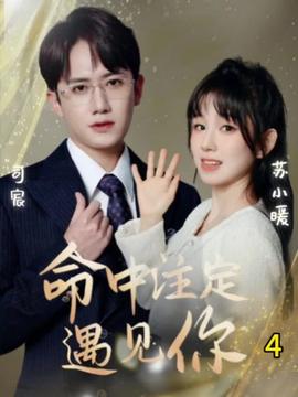 命中注定遇见你短剧海报