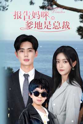 报告妈咪,爹地是总裁海报