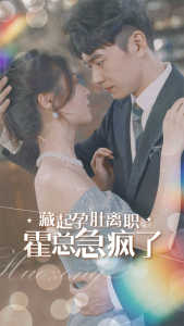 藏起孕肚离职,霍总急疯了海报