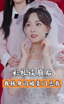 彩礼谈崩后我闪婚了豪门老公海报