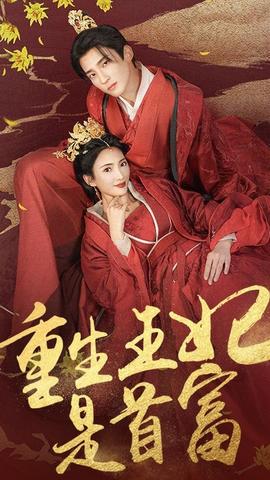重生王妃是首富