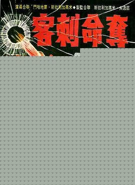 夺命刺客海报
