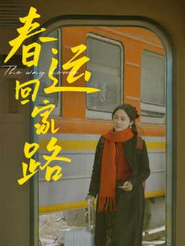 春运回家路海报