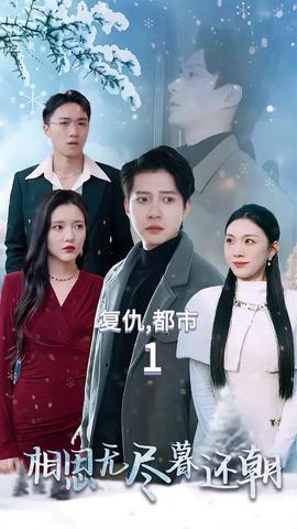 相思无尽暮还朝海报