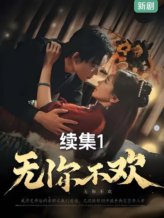 无你不欢海报