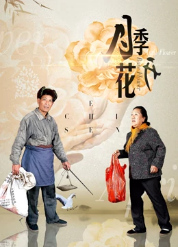 月季花开海报