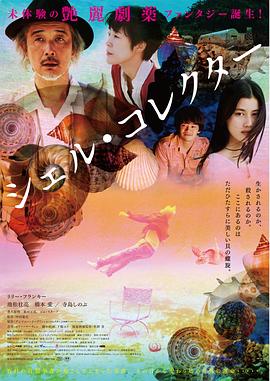 贝壳收藏家海报