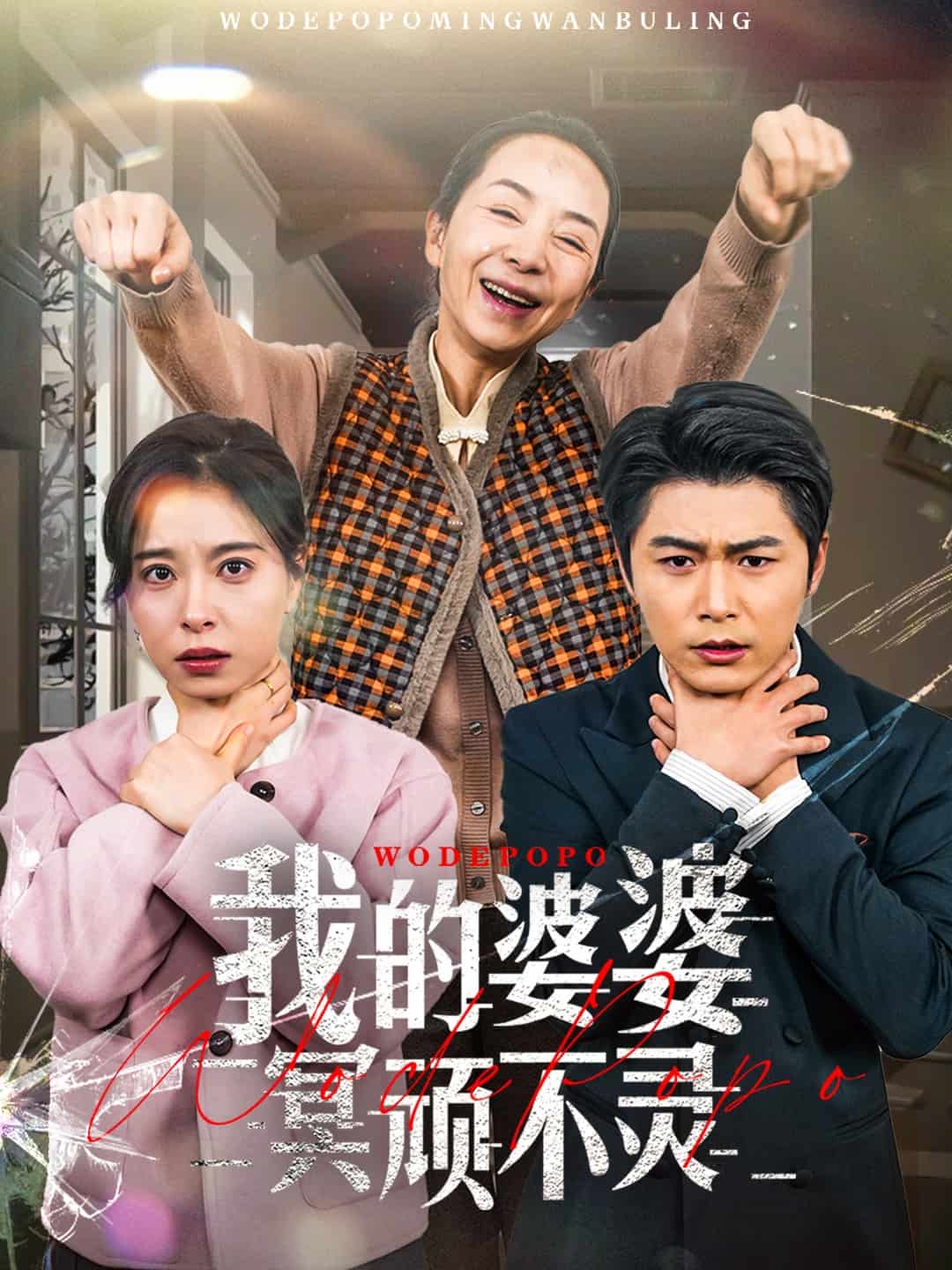 好心婆婆之事与愿违海报