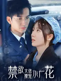 禁欲大佬撩宠小厂花海报