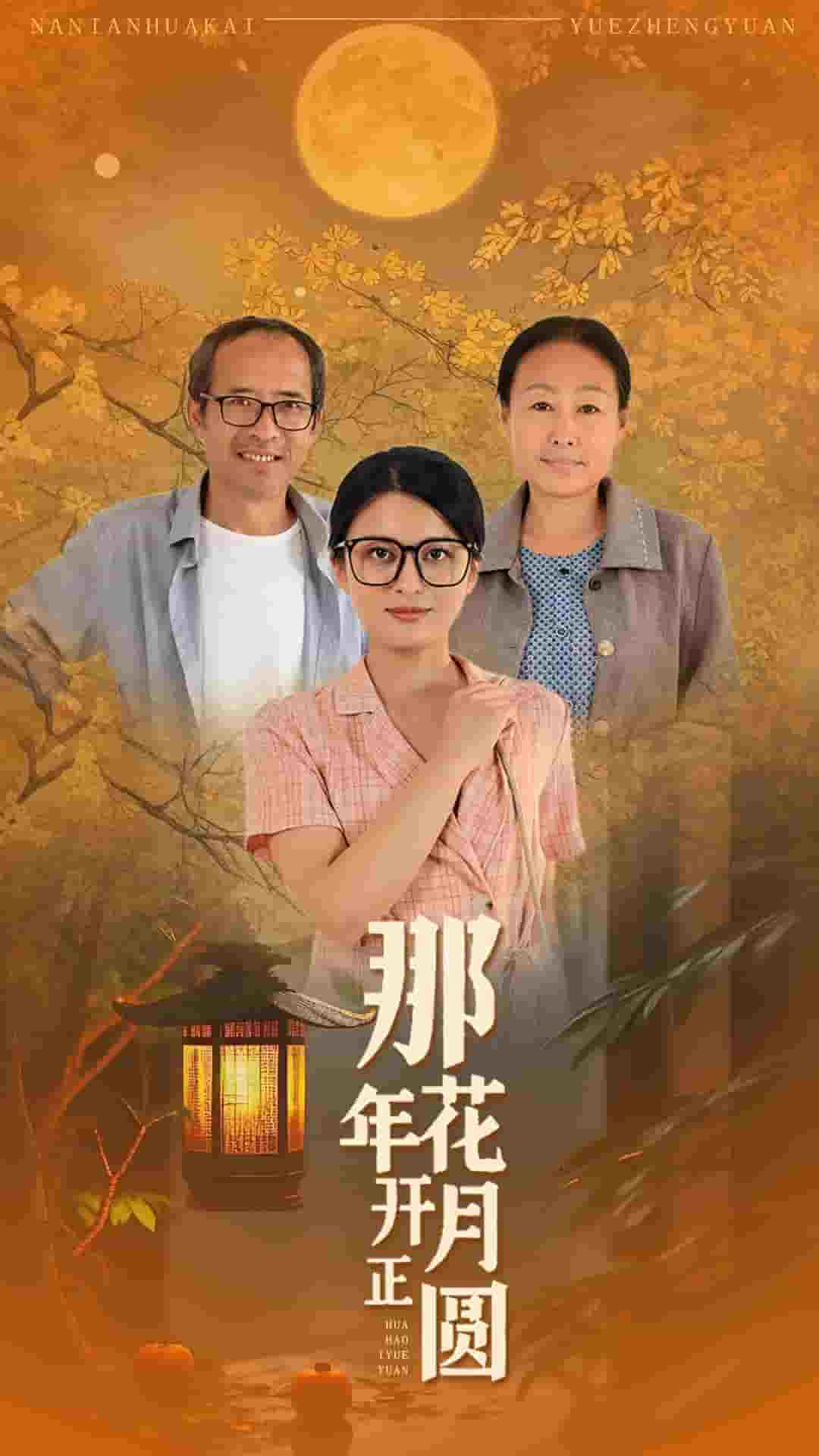 那年花开月正圆 短剧版海报