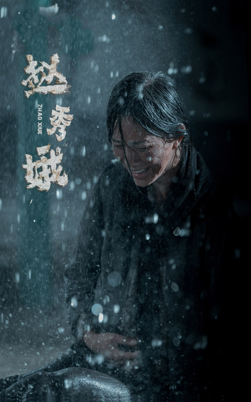 赵秀娥海报