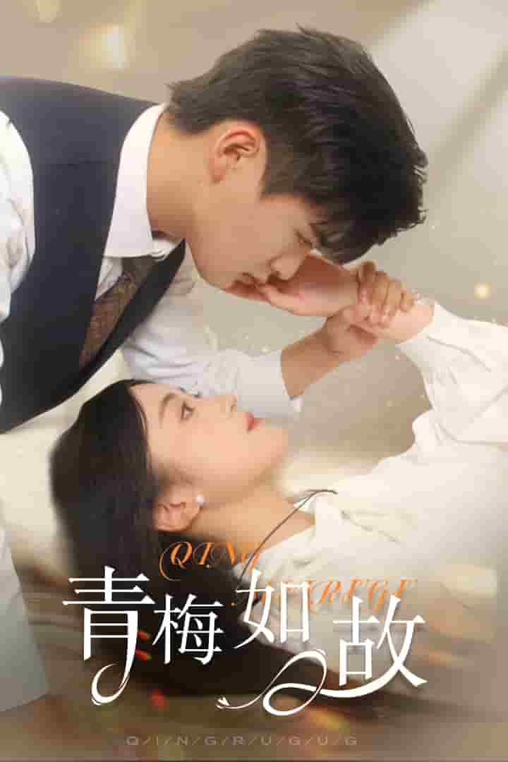 青梅如故海报
