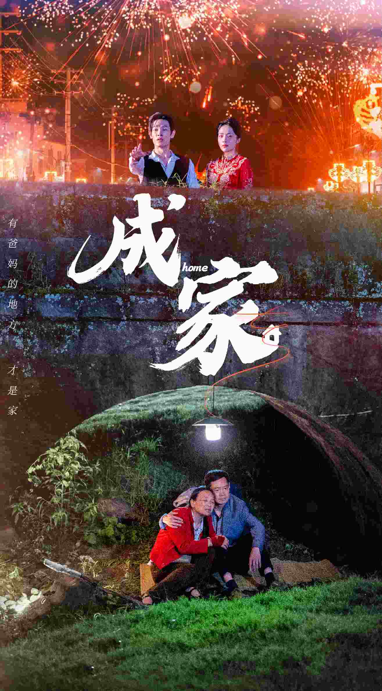 成家 短剧版海报