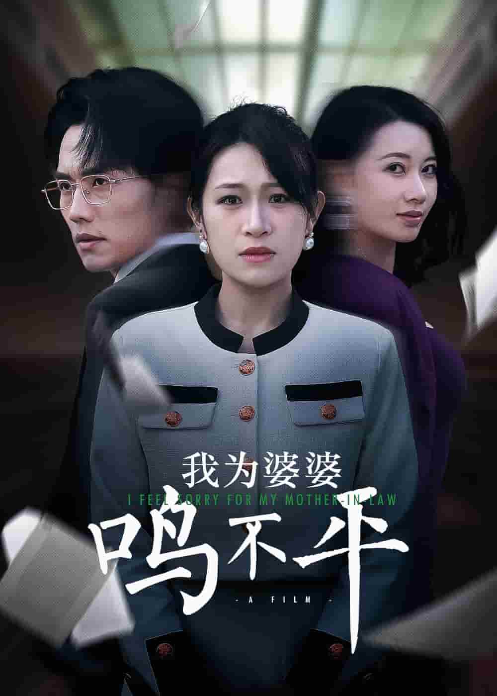 我为婆婆鸣不平海报