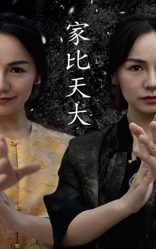 家比天大 短剧版海报