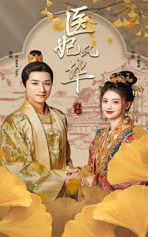 医妃风华海报