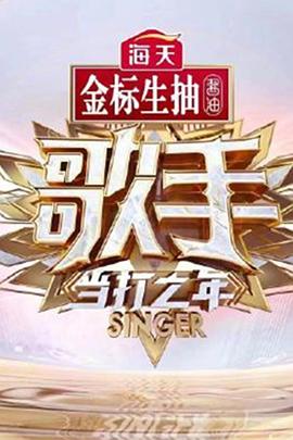 歌手当打之年海报