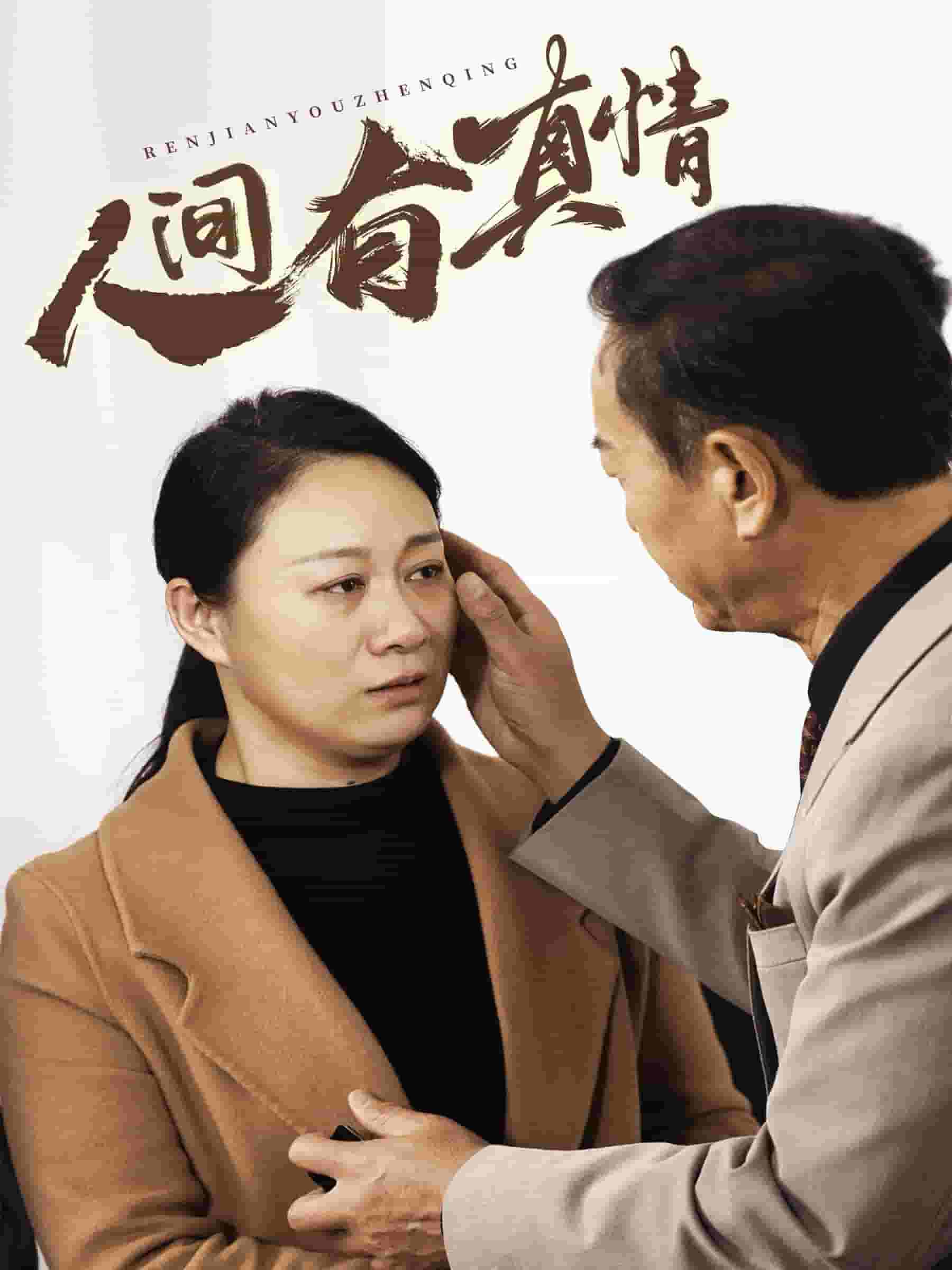 人间有真情海报
