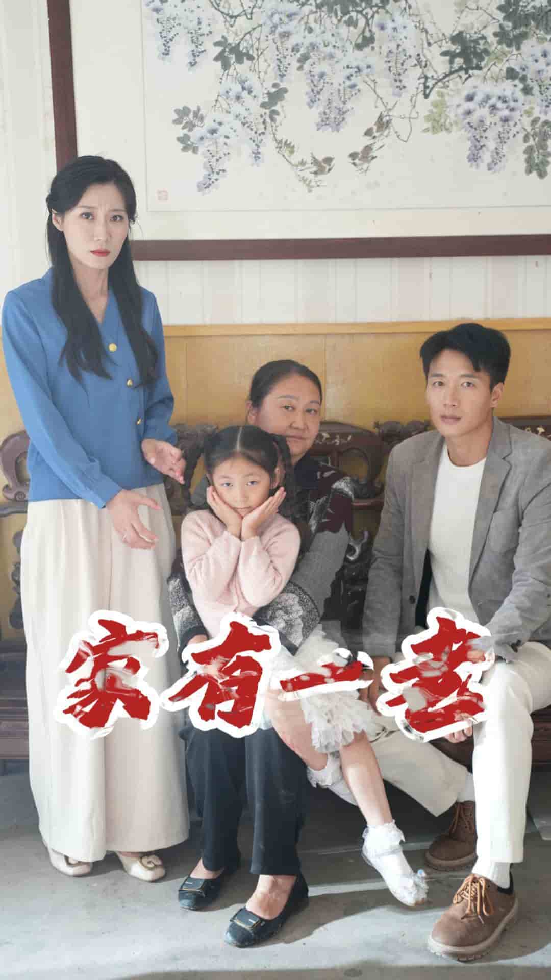 家有一老 短剧版海报
