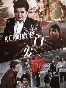 红颜暗老白发新海报