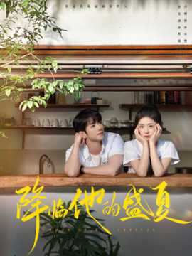 降临他的盛夏海报