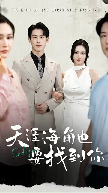 天涯海角也要找到你海报
