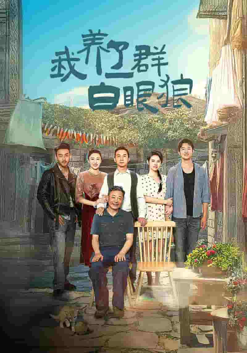 家家有本难念的经 短剧版海报