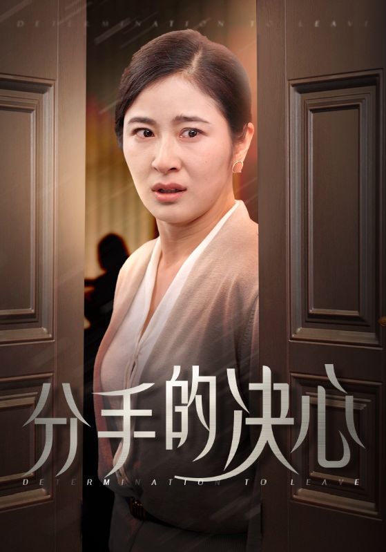 分手的决心 短剧版海报