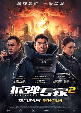 拆弹专家2国语海报