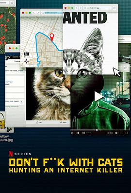 别惹猫咪:追捕虐猫者海报