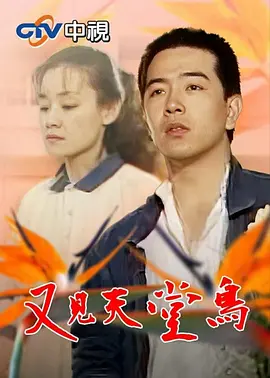 又见天堂鸟海报