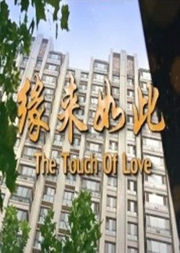 缘来如此2017海报