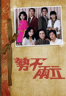 势不两立1980海报