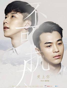 不可抗力爱上你海报