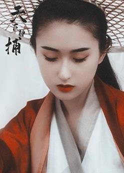 天下神捕海报