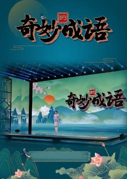 奇妙的成语海报