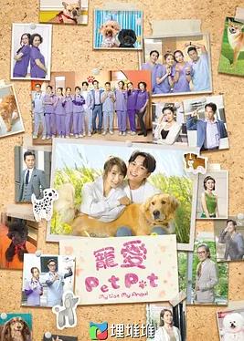 宠爱PetPet国语海报