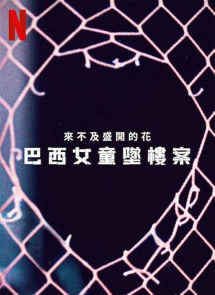 来不及盛开的花：巴西女童坠楼案海报