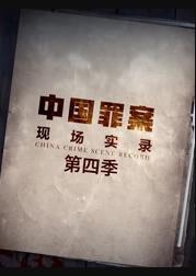 罪案现场实录第四季海报
