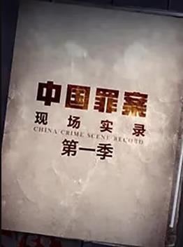 罪案现场实录第一季海报