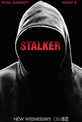 跟踪者第一季海报