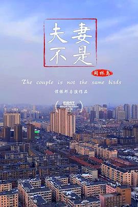 夫妻不是同林鸟海报