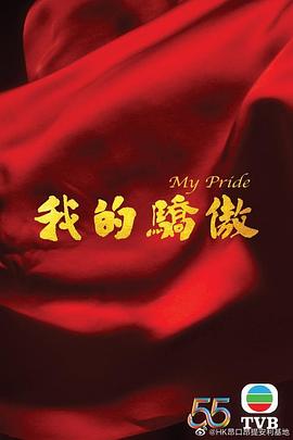 我的骄傲海报