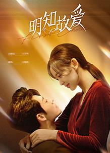 明知故爱海报
