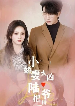 小娇妻太凶,陆爷把持不住了海报