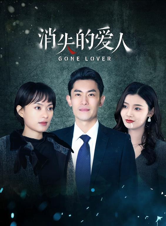 消失的爱人海报