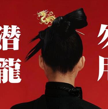 潜龙勿用海报