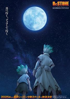 石纪元第四季Part2海报